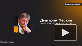 Песков: атаки беспилотников на Москву подтверждают сущность киевского режима