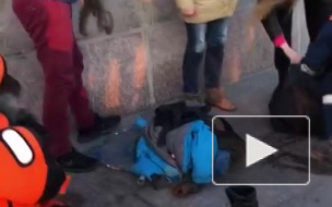 По Неве дрейфуют льдины с детенышами нерп