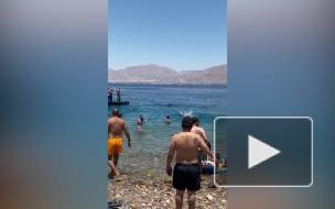 Акула посеяла панику на общественном пляже и попала на видео