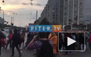 Видео: у метро "Приморская" проходит пикет в поддержку создания парка в устье реки "Смоленки"