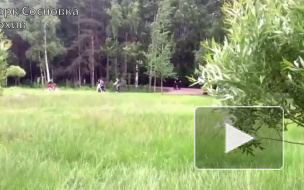 Школьник, жестоко убивший девушку в Сосновке, увлекался ножевым боем