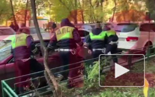 Опубликовано видео задержания сына вице-президента МТС после трехчасовой погони