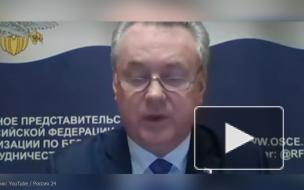 Лукашевич оценил встречу сторонников Навального с представителями НАТО
