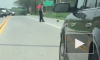 В США полицейский помог сурку перейти дорогу, а затем расстрелял его