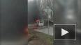 В Таганроге из-за рухнувшего дерева загорелся автобус ...