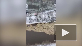 Жители Красногвардейского района приняли "ледяное сало" за загрязнение реки Охты