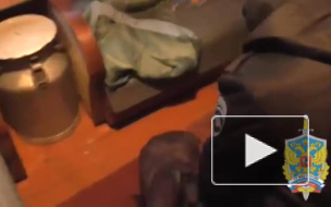 В Москве задержали владельца наркооранжереи 