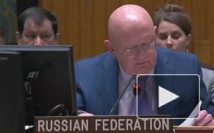 Небензя призвал мировое сообщество к оценке пыток российских военных