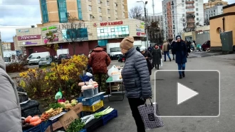 В Кировском и Пушкинском районах пресекли незаконную торговлю текстилем и продуктами