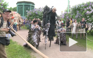 Петербургские артисты куражились на Марсовом поле