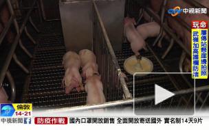 В Китае выявили потенциально опасный для людей свиной грипп