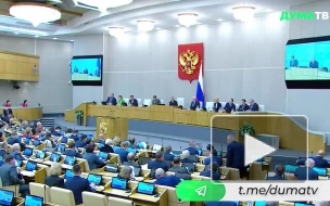 Депутаты Госдумы почтили минутой молчания память жертв трагедии в Ижевске