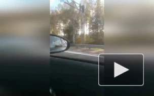 Водители Петербурга возмутились, увидев самокатчика с ребенком на Мурманском шоссе