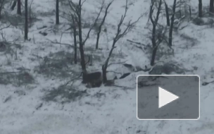 "Призрак" с помощью дрона навел удар по украинским позициям в ДНР