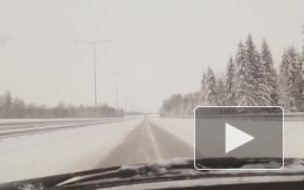 В Петербурге водитель школьного автобуса вышел в рейс пьяным