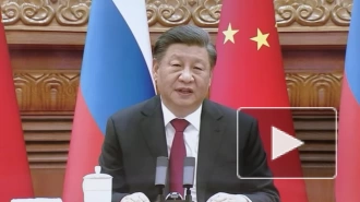 Си Цзиньпин заявил о готовности к глобальному партнерству с Россией