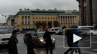 "Полицейские" в масках коней вышли на улицы Санкт-Петербурга