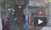 Доброе видео из Пензы: "Ёж - тимуровец" переводил бабушек через дорогу