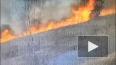 Пожарная машина сгорела при тушении травы под Липецком