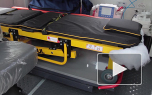 В центре Москвы собаки насмерть загрызли старушку 