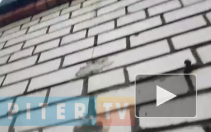 Видео: в Выборгском районе дом "дал трещину"
