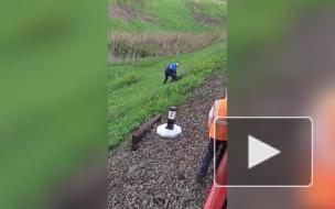 Человек попал под поезд недалеко от станции "Ленинский проспект"