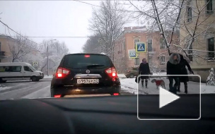 Любитель летней резины Пушкин.