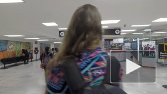 Госдума: на восстановление авиасообщения между Россией и Грузией можно рассчитывать в ближайшее время 