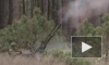 Минобороны: российские десантники уничтожили дрон ВСУ Warmate в Херсонской области