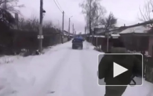 Видео погони: похититель сосен пытается скрыться от силовиков