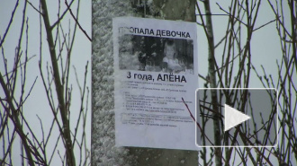 Волонтёры о поисках Алёны Щипиной: «Будем копать, пока не найдём»