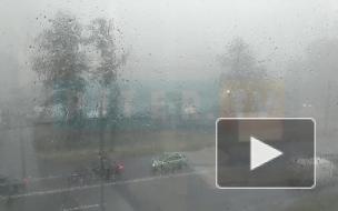 В Петербурге начался сильный дождь 