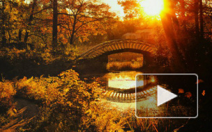 В Петербурге подвели итоги конкурса "Фотоаппарат за закат"