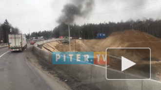 Что произошло в Петербурге 20 апреля: видео и фото