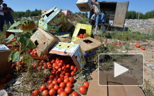 Из санкционных фруктов в деревнях гонят самогон