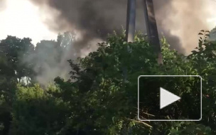 Видео: во Всеволожске загорелся частный дом