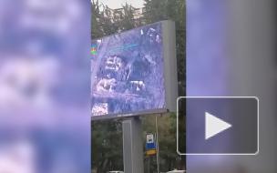 Удары турецких беспилотников по Карабаху показывают на улицах Баку