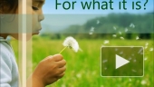 Ecology
