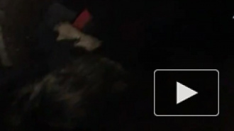 Петербуржец ради спасения котят разобрал в квартире пол