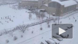 Симферополь накрыл мощный снегопад