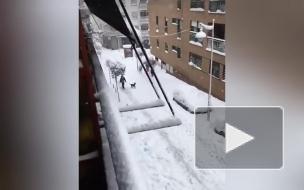 Три человека стали жертвами снежной бури в Испании
