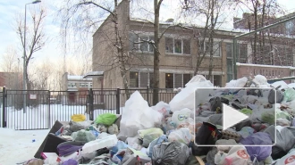 "Стыдно за город": жители Невского района жалуются на груду мусора у школы