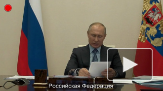 Путин высказался о пике распространения коронавируса в России