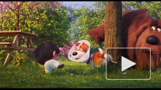 Мультфильм "Тайная жизнь домашних животных-2" возглавил российский прокат