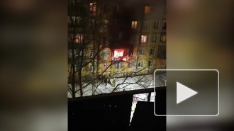 Пожар в квартире дома на Луначарского удалось потушить за час