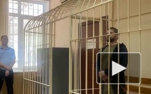 В Сочи вынесли приговор блогеру Лютому, чей ребенок умер от истощения