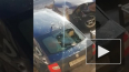 Видео: гитарист выкинул люстру на окно чужой машины