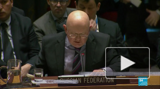 Небензя назвал шокирующими детали нападения на дипломата РФ в Косово