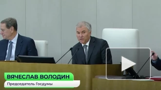 Володин предложил усилить персональную ответственность для совета директоров ЦБ