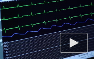 В Челябинской области во дворе частного дома обнаружили труп семиклассницы